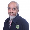 F.X. Budi Widodo Pangarso, Ir., M.S.P., IAP